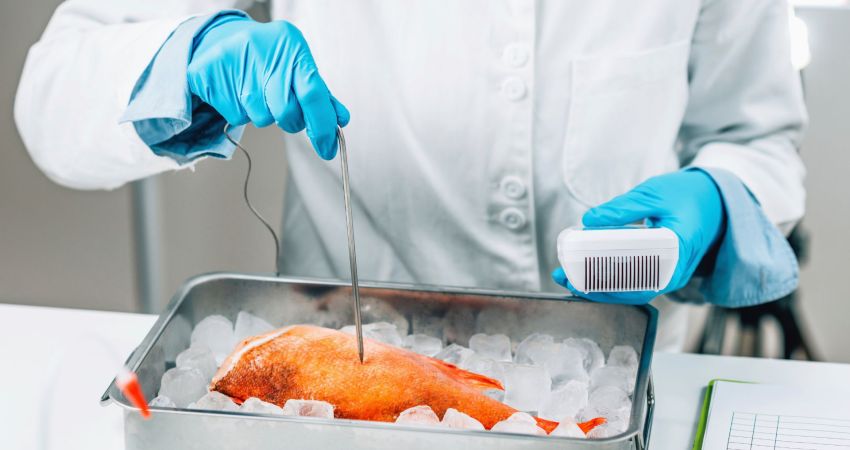 Un corso fondamentale per la gestione della sicurezza alimentare, che insegna le pratiche migliori per prevenire contaminazioni e garantire un ambiente alimentare sicuro e conforme alle normative. HACCP