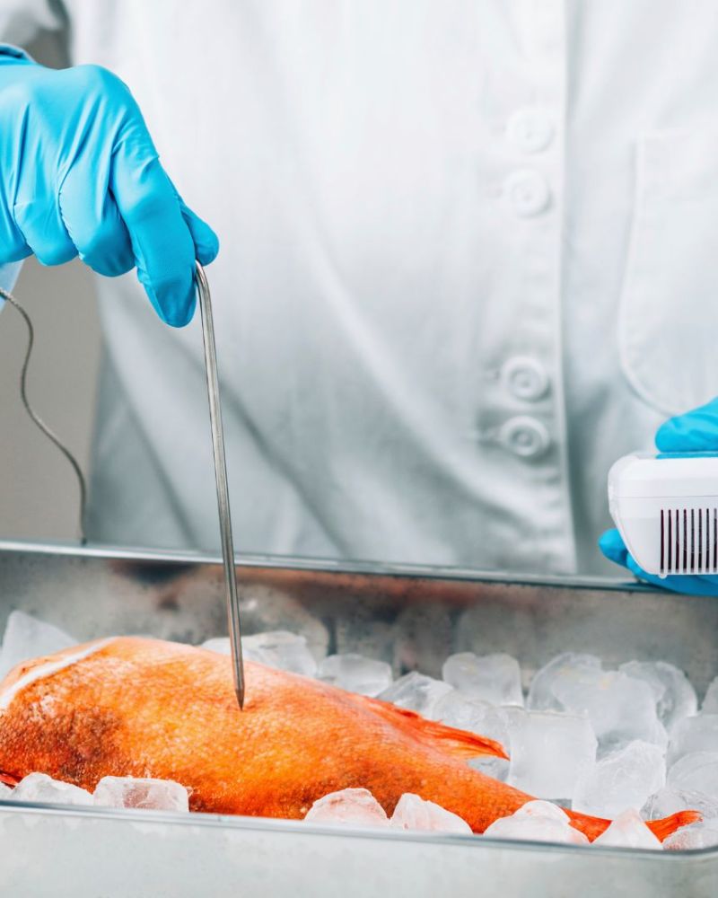 Haccp-Igiene Alimentare